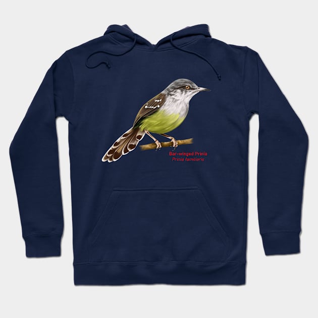 Bar-winged Prinia | Prinia familiaris Hoodie by bona 